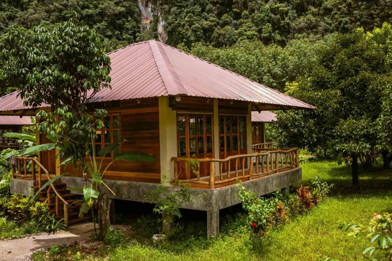 Khao Sok National ParkMonkey Mansion - Jungalows & Tours别墅 外观 照片