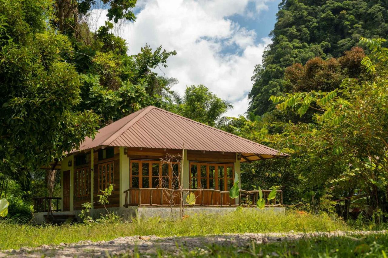 Khao Sok National ParkMonkey Mansion - Jungalows & Tours别墅 外观 照片