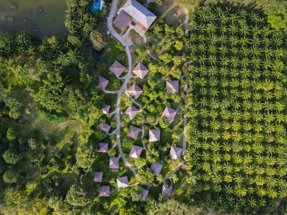 Khao Sok National ParkMonkey Mansion - Jungalows & Tours别墅 外观 照片