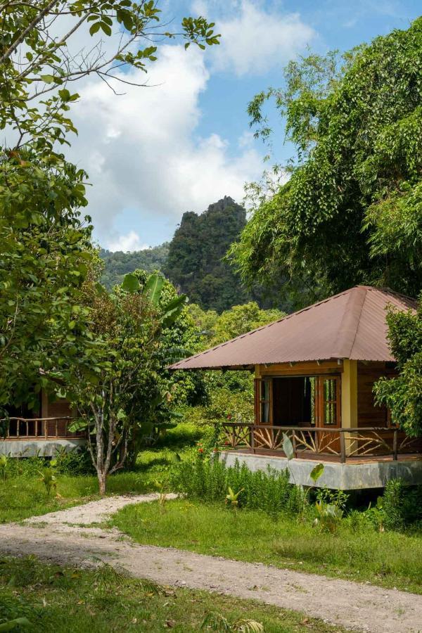 Khao Sok National ParkMonkey Mansion - Jungalows & Tours别墅 外观 照片