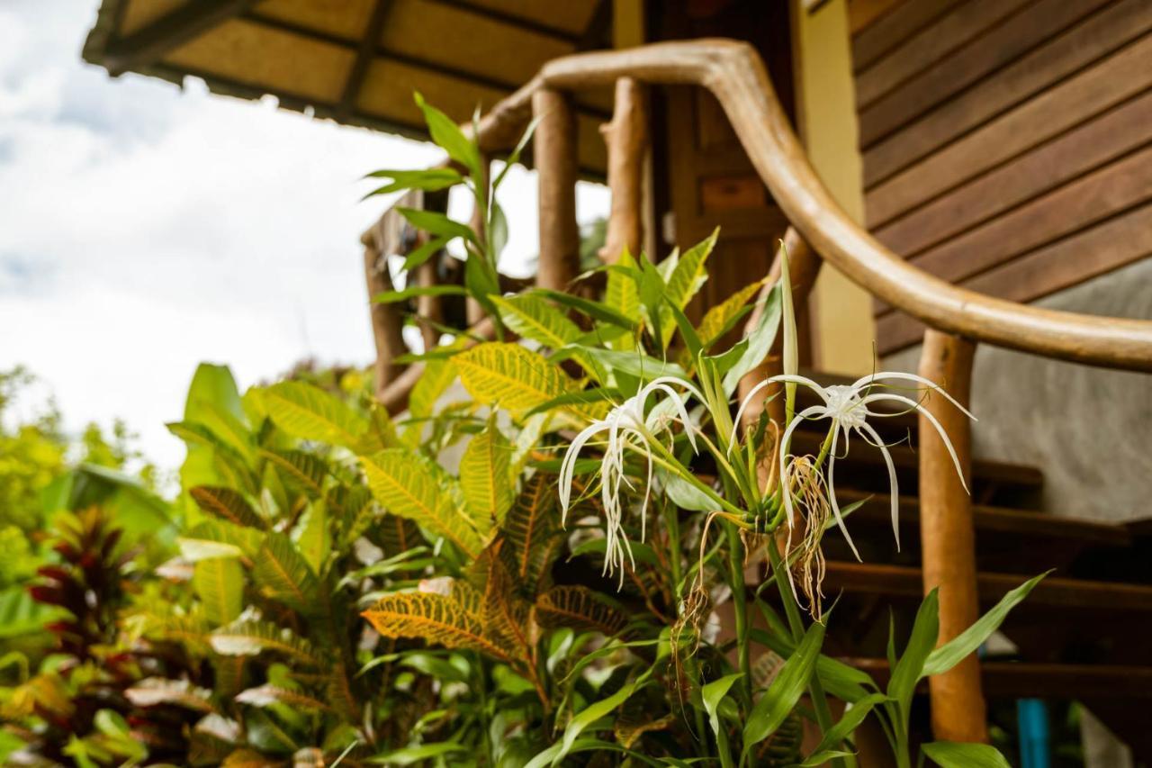 Khao Sok National ParkMonkey Mansion - Jungalows & Tours别墅 外观 照片