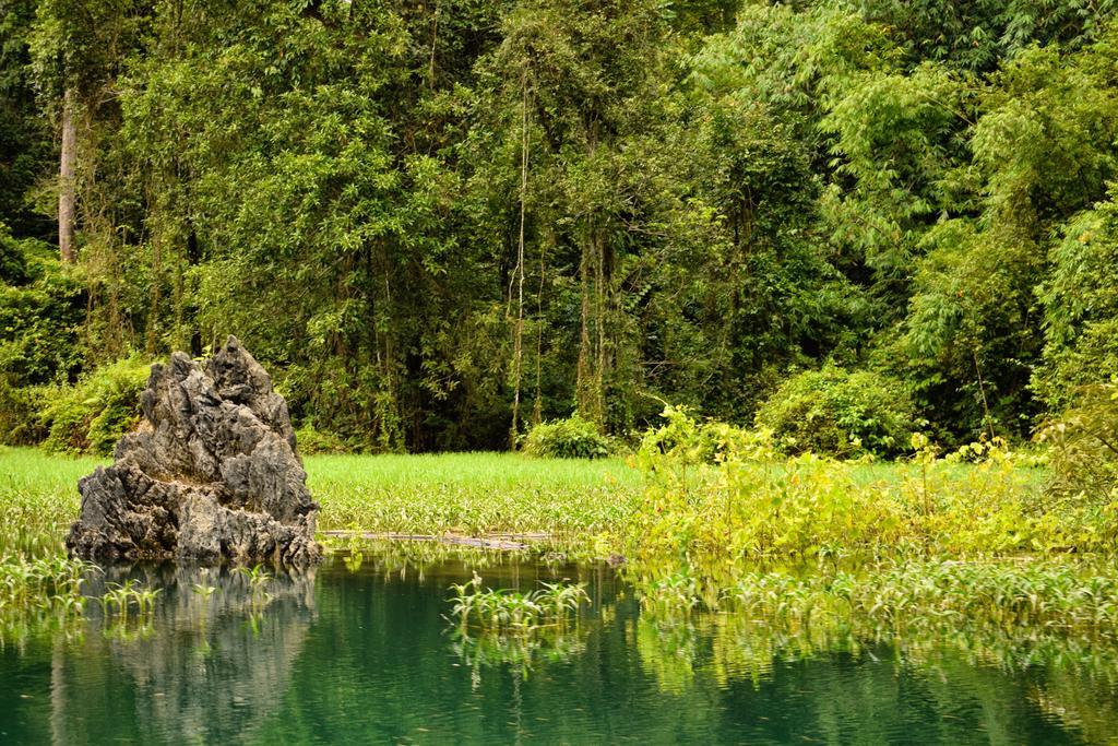 Khao Sok National ParkMonkey Mansion - Jungalows & Tours别墅 外观 照片